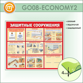 ����� ��������� ����������� (GO-08-ECONOMY2)