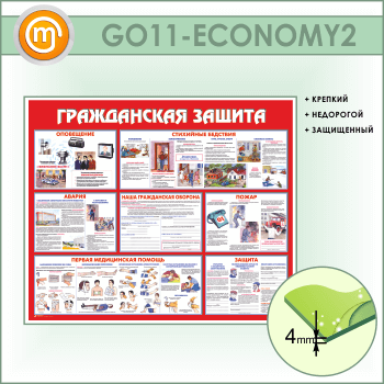 ����� ������������ ������ (GO-11-ECONOMY2)