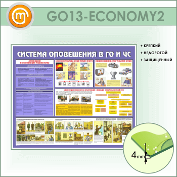 ����� �������� ���������� � �� � �ѻ (GO-13-ECONOMY2)