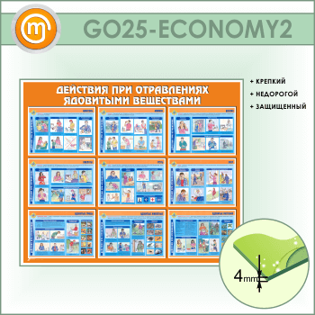 ����� ��������� ��� ���������� ��������� ���������� (GO-25-ECONOMY2)