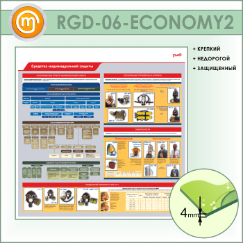 ����� ��������� �������������� ������� (RGD-06-ECONOMY2)