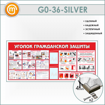 ����� ������� ����������� ������� c 2 ��������� (GO-36-SILVER)