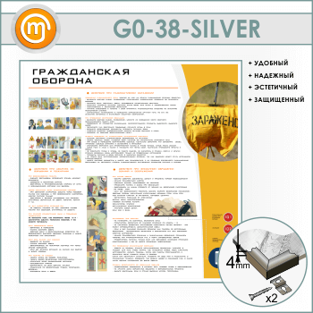 ����� ������������ ������� (GO-38-SILVER)