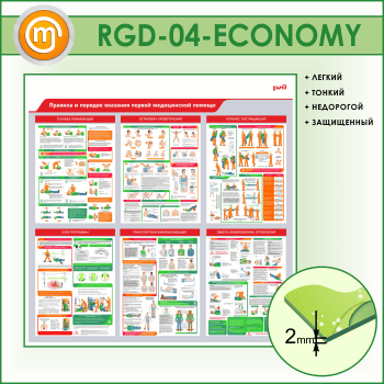 ����� �������� � ������� �������� ������ ����������� ������ (RGD-04-ECONOMY)