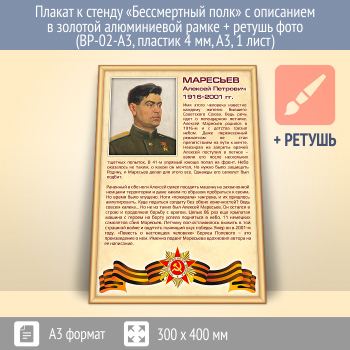 ������ � ������ ������������ ���� � ��������� � ������� (�������) ����������� ����� + ������ ���� (BP-02-A3, ������� 4 ��, �3, 1 ����)