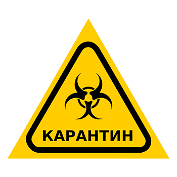 Знак «Карантин», Q13.6 (пластик, сторона 150 мм)