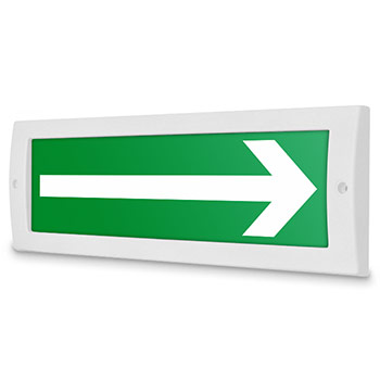 �������� ����� �������� ������, ������ (12�)