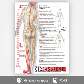 Плакат «Боль» (ЗОЖ-28, 1 лист)