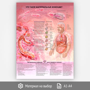 ������ ���� ����� ������������� ��������?� (���-39, 1 ����)