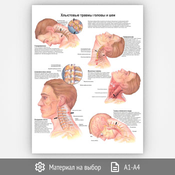 ������ ���� ����� ��� � ����?� (���-40, 1 ����)